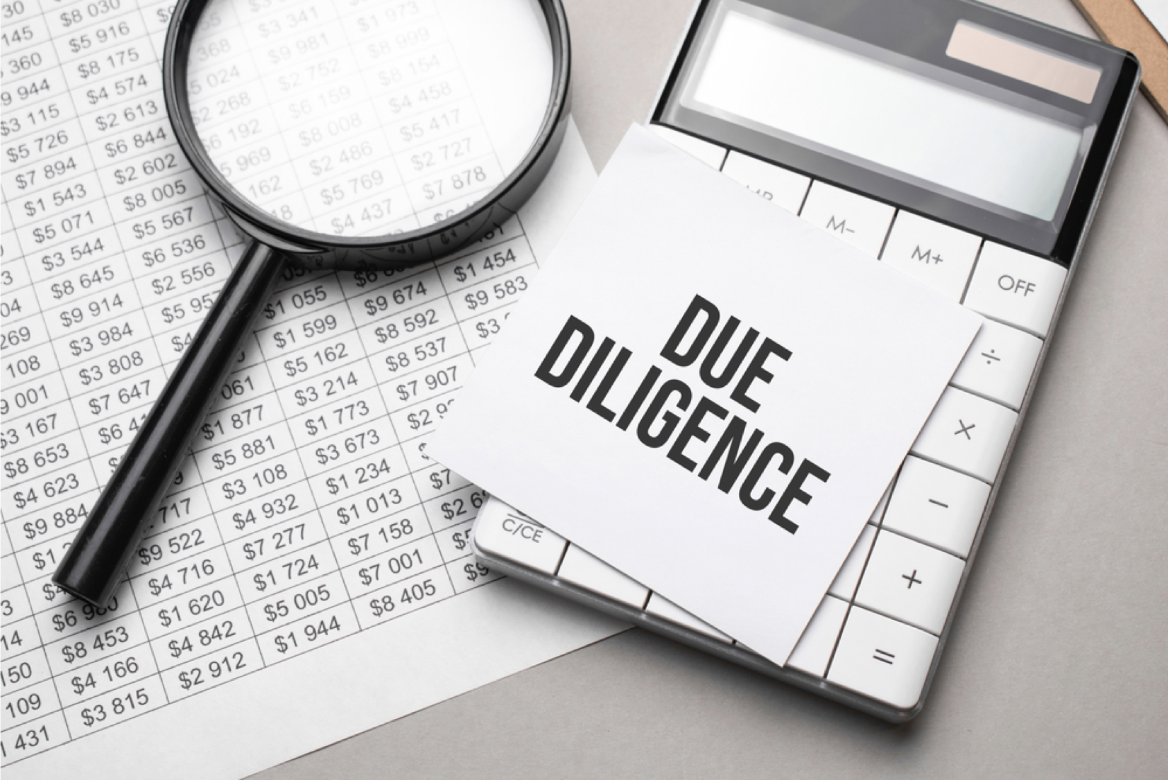 Financial Due Diligence